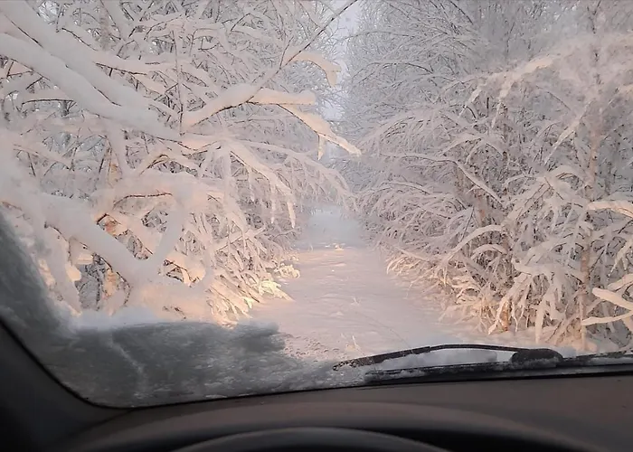 Cosy, Homely House With A Large Courtyard
